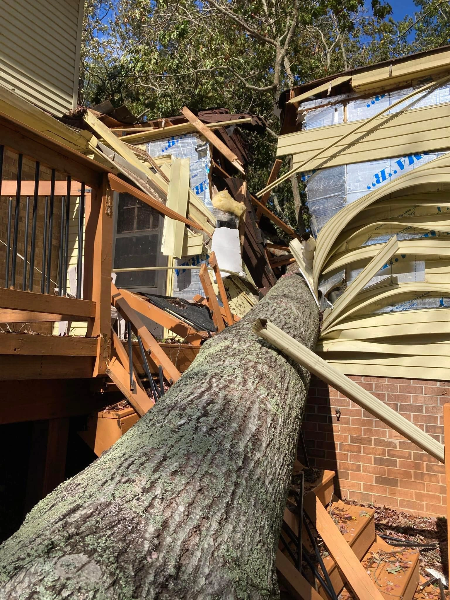 Emergency Tree Fallen on House